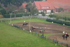 Reiterhof Koenning Villa Freren Eksteriør bilde